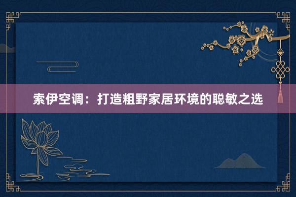 索伊空调：打造粗野家居环境的聪敏之选
